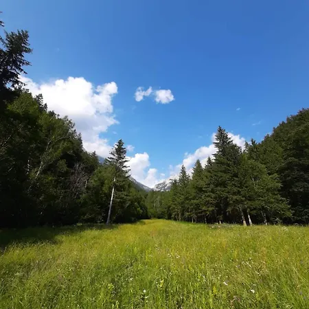 Camping & Glamping Grintovec Preddvor Exterior foto