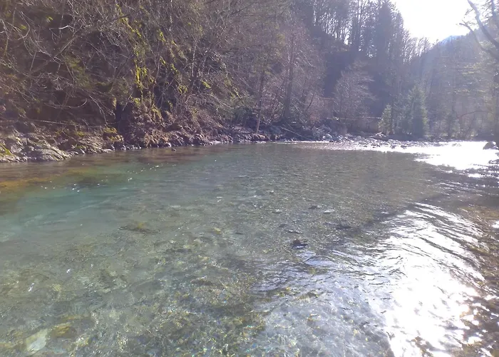 Camping & Glamping Grintovec