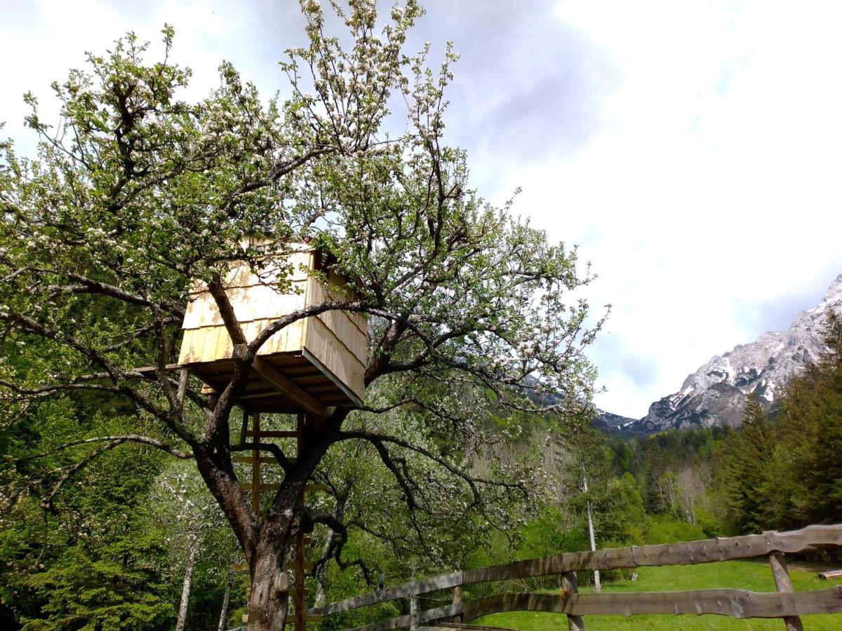 Luxuszelt & Glamping Grintovec