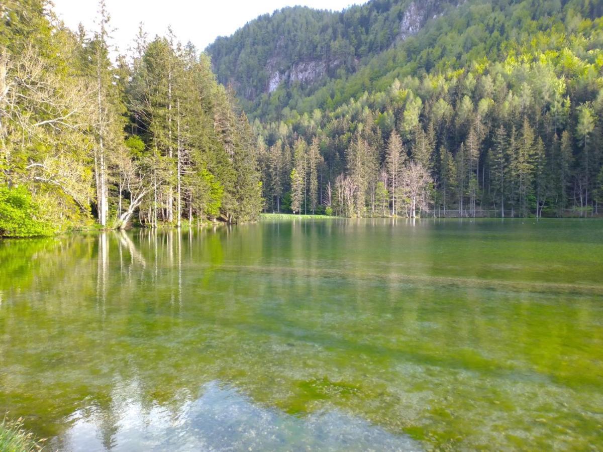 & Glamping Grintovec * Preddvor