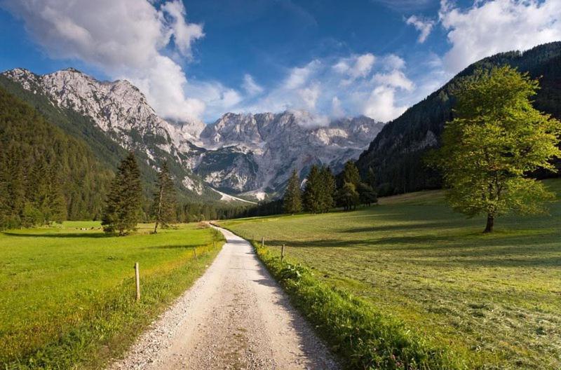 & Glamping Grintovec *