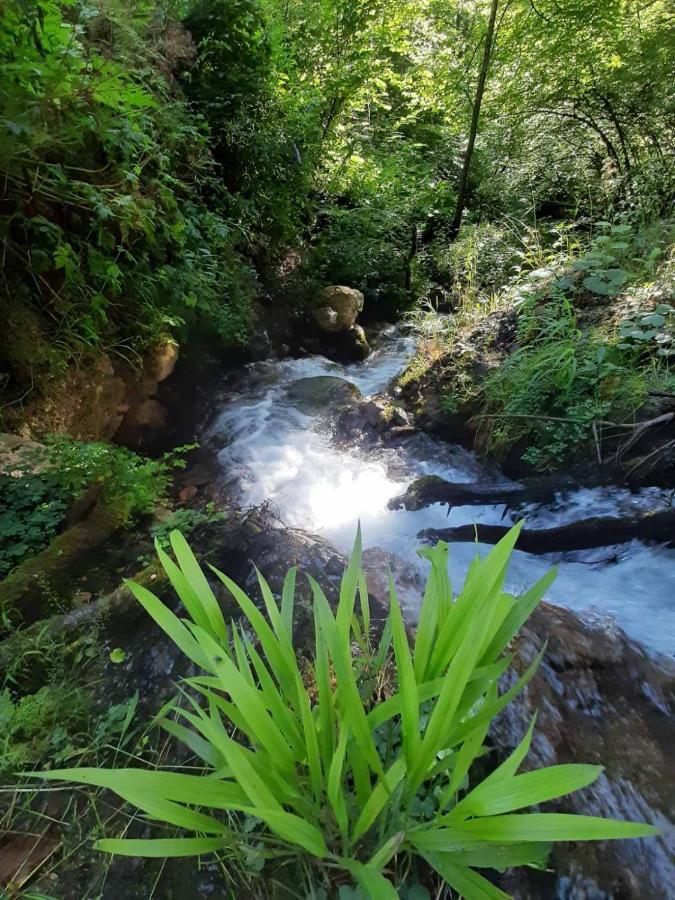 & Glamping Grintovec