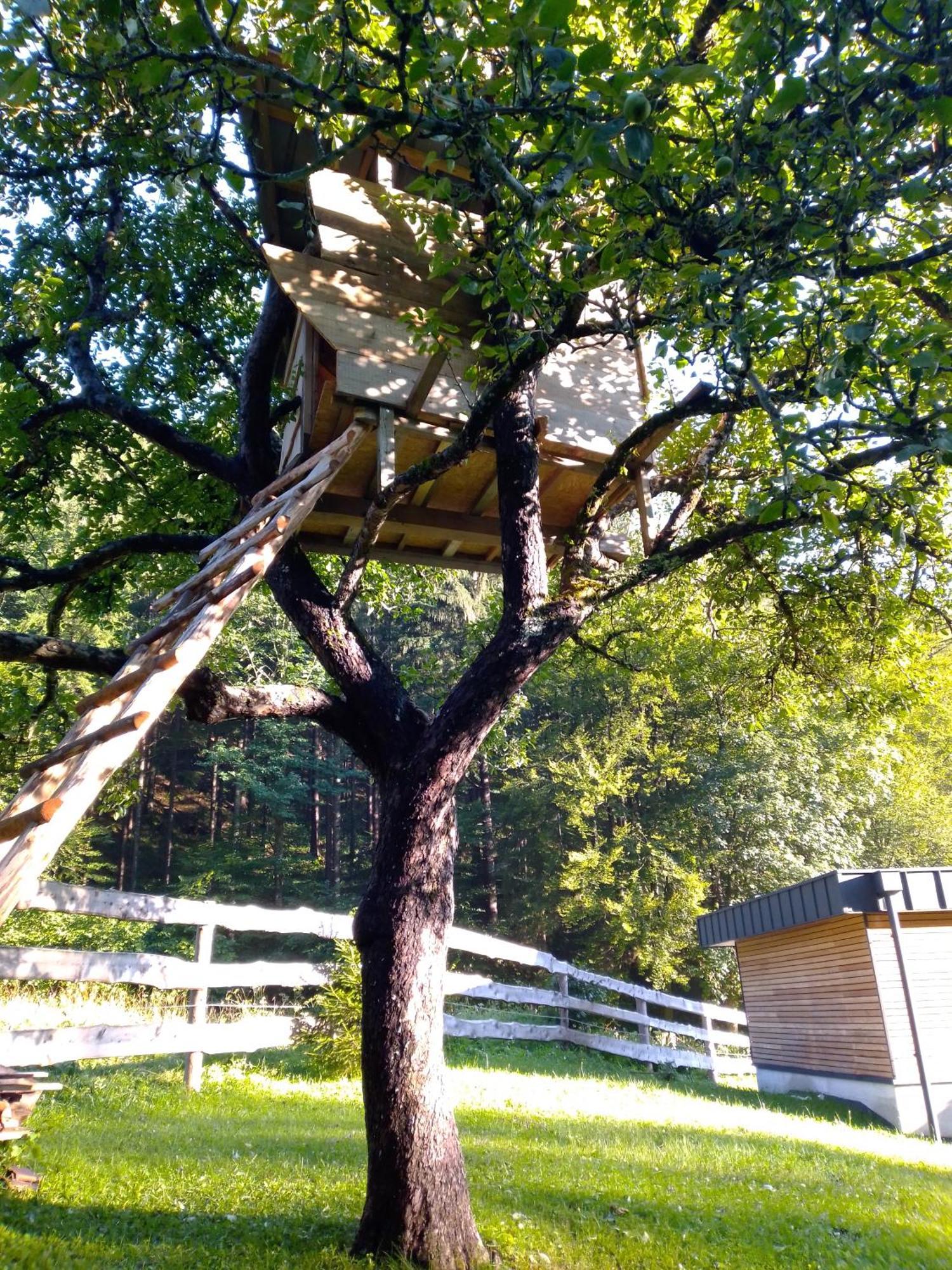 & Glamping Grintovec *