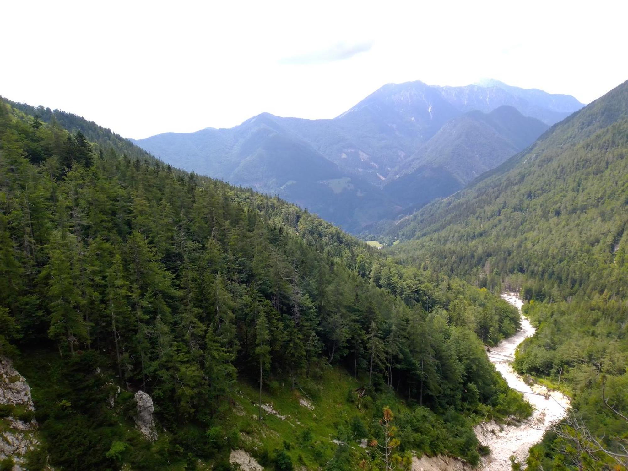 & Glamping Grintovec * Preddvor
