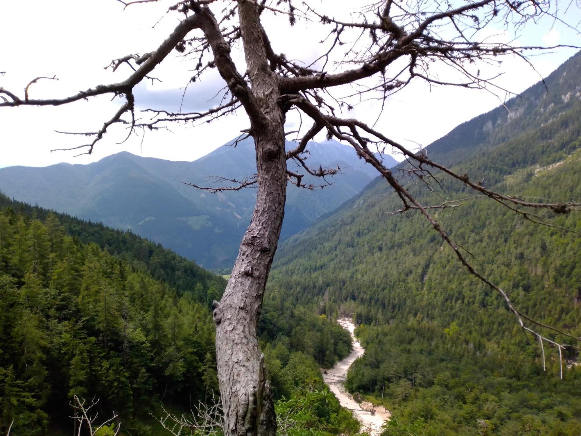 & Glamping Grintovec