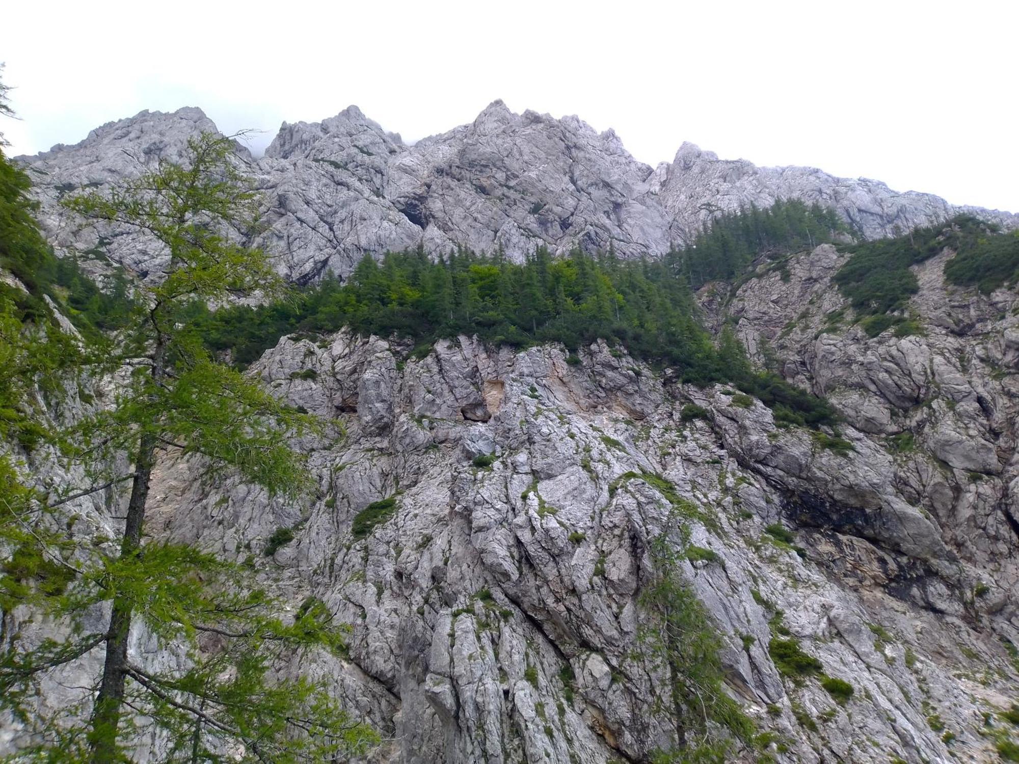 Luksuzni šotor & Glamping Grintovec *