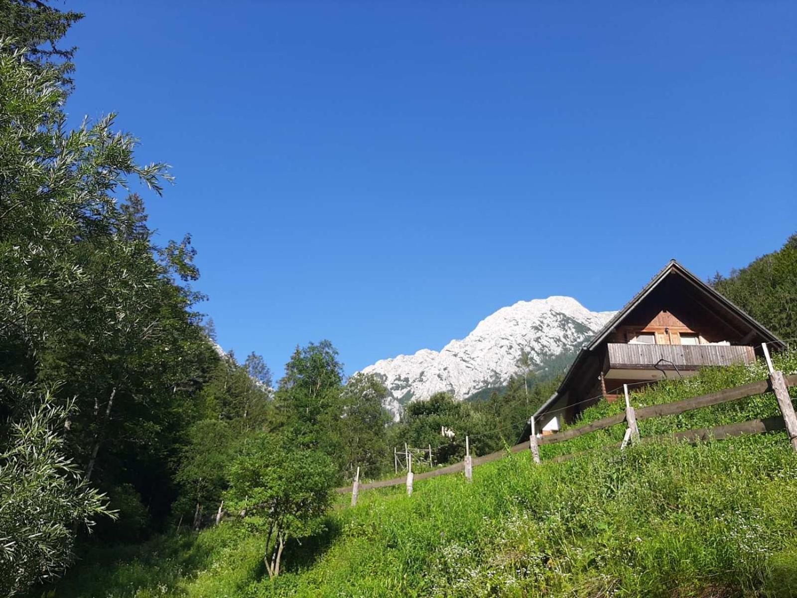 & Glamping Grintovec Luksuzni šotor *