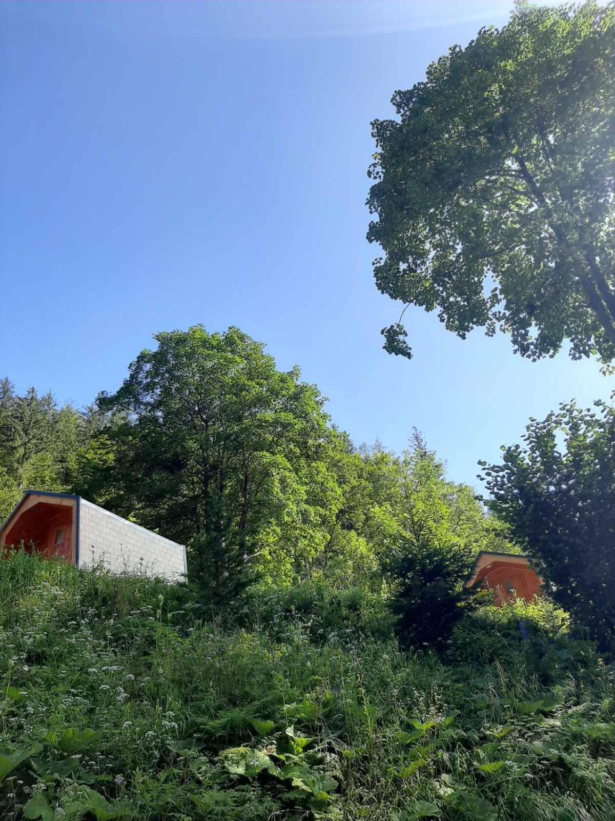 & Glamping Grintovec Preddvor