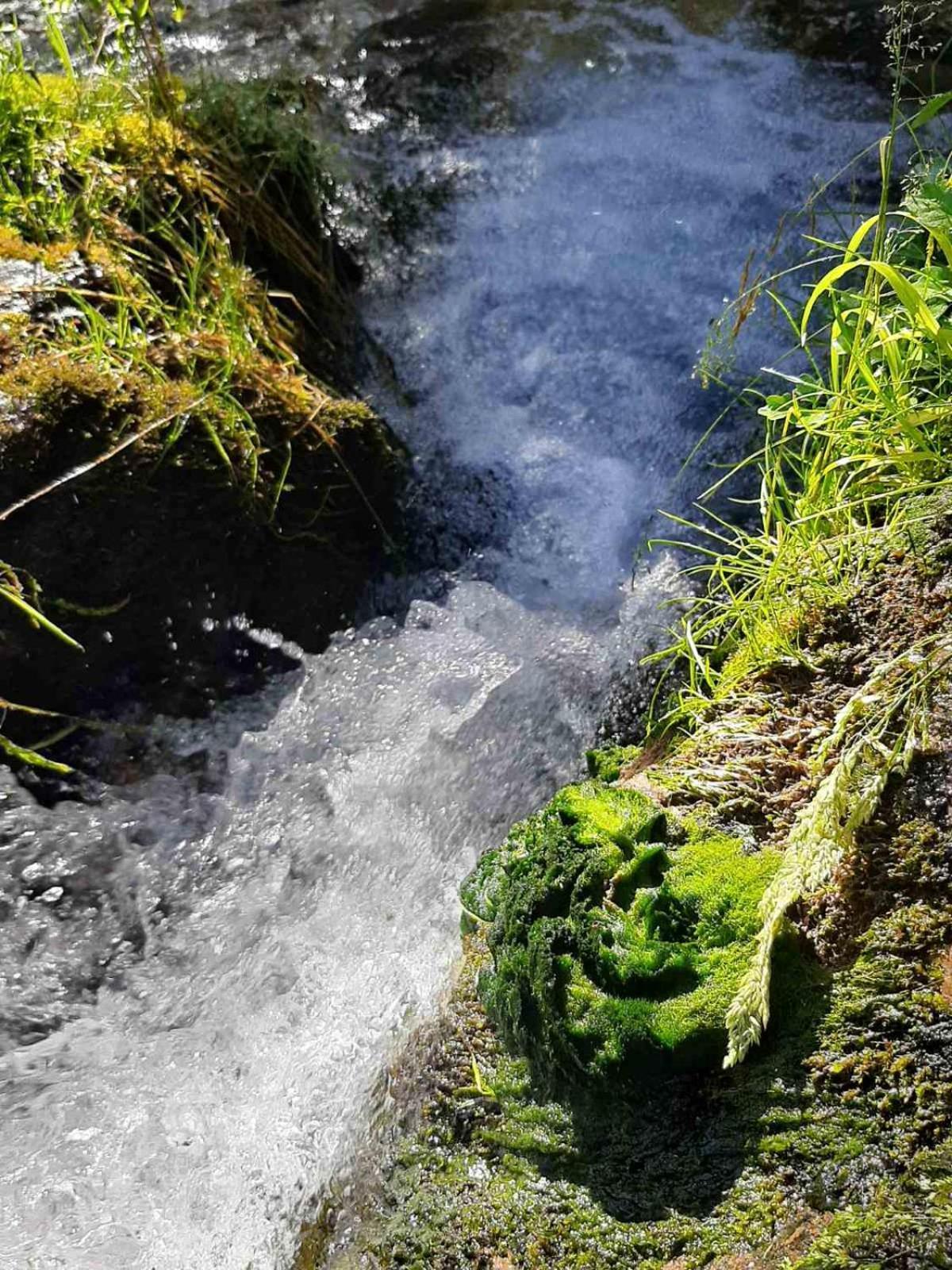 & Glamping Grintovec Luxuszelt