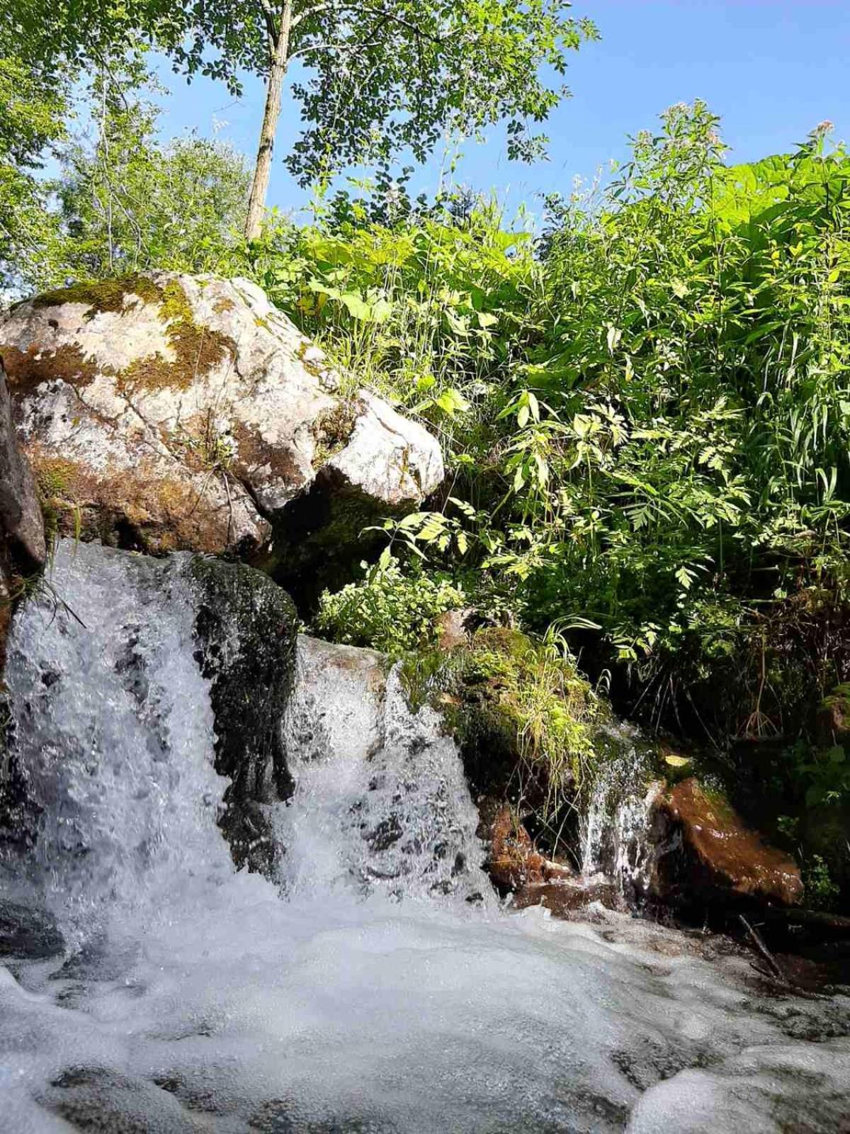 Luksuzni šotor & Glamping Grintovec *